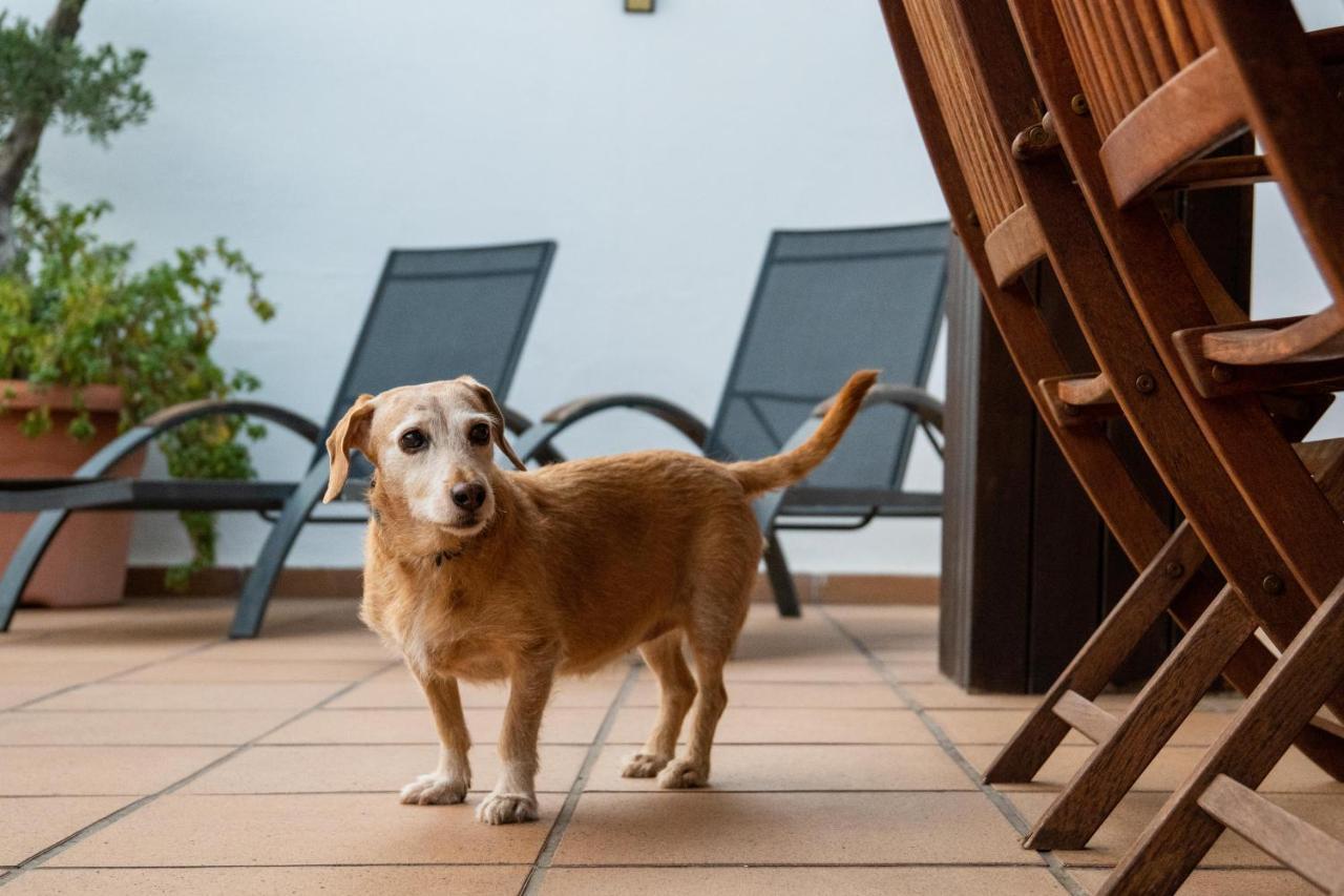 "Charm & Cozy 4Br - 3Ba With Pool & Barbecue" Villa Cambrils Eksteriør billede